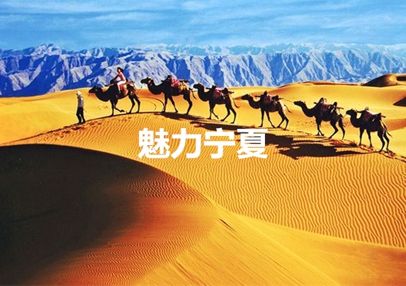 宁夏 · 探索漠北文化，读懂中国红酒的前世今生~